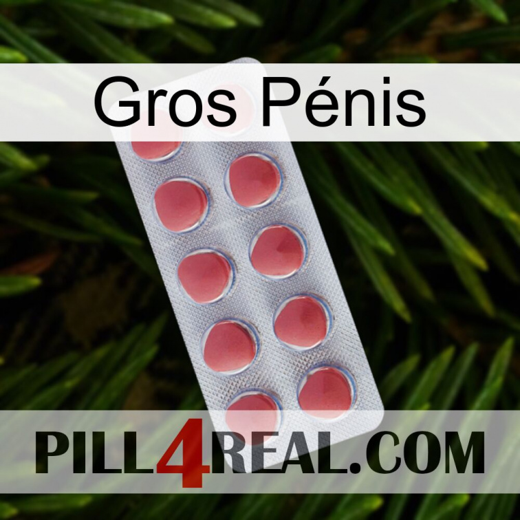 Gros Pénis 18